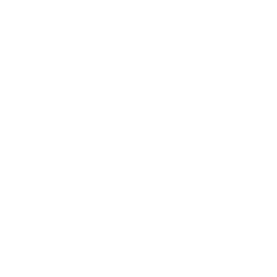 Network Icon
